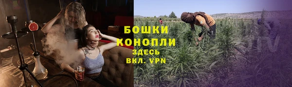 прущие крисы Беломорск