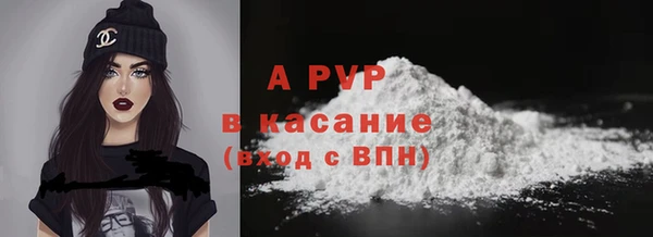 прущие крисы Беломорск