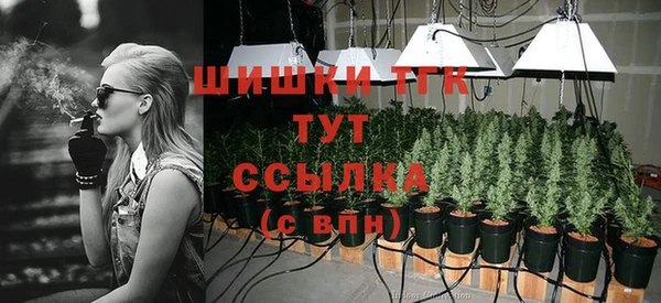 прущие крисы Беломорск