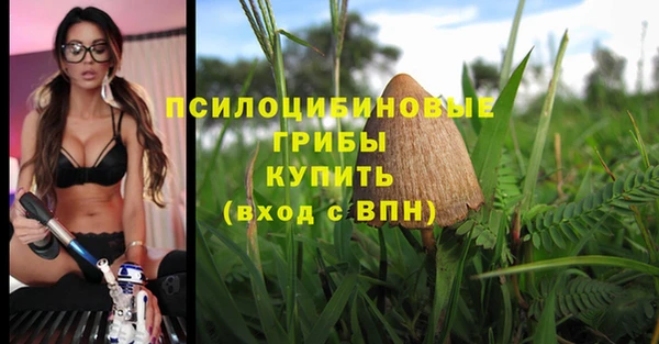 спиды Балабаново