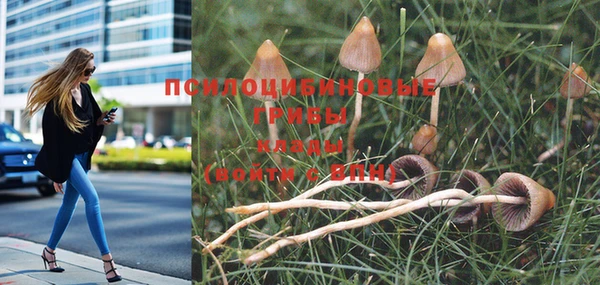 марки nbome Белокуриха