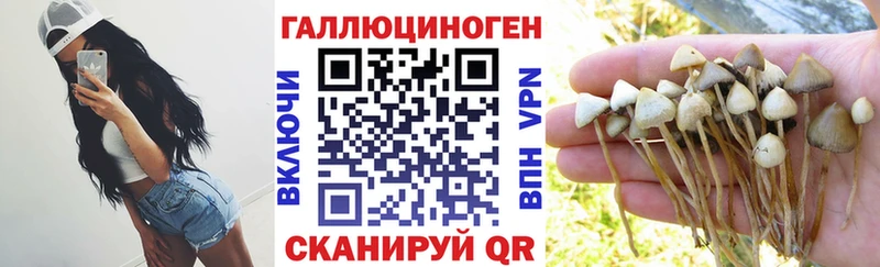 Галлюциногенные грибы прущие грибы  Купить закладки  Микунь 